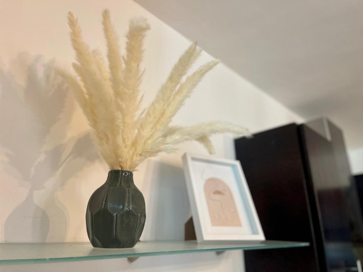 Apartmento Centro Playa Tendenza Playa del Carmen Dış mekan fotoğraf